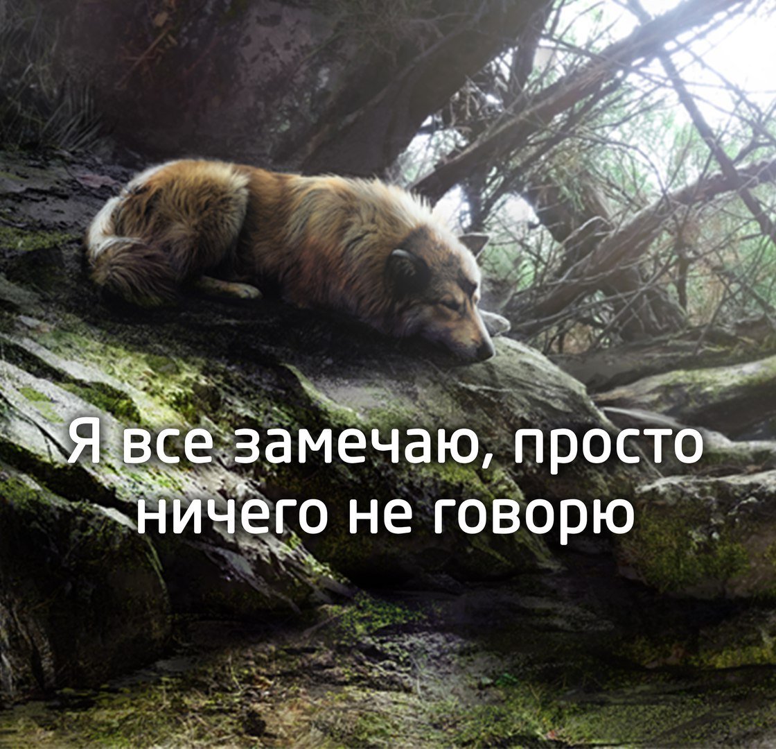 ...чтобы люди не обольщались