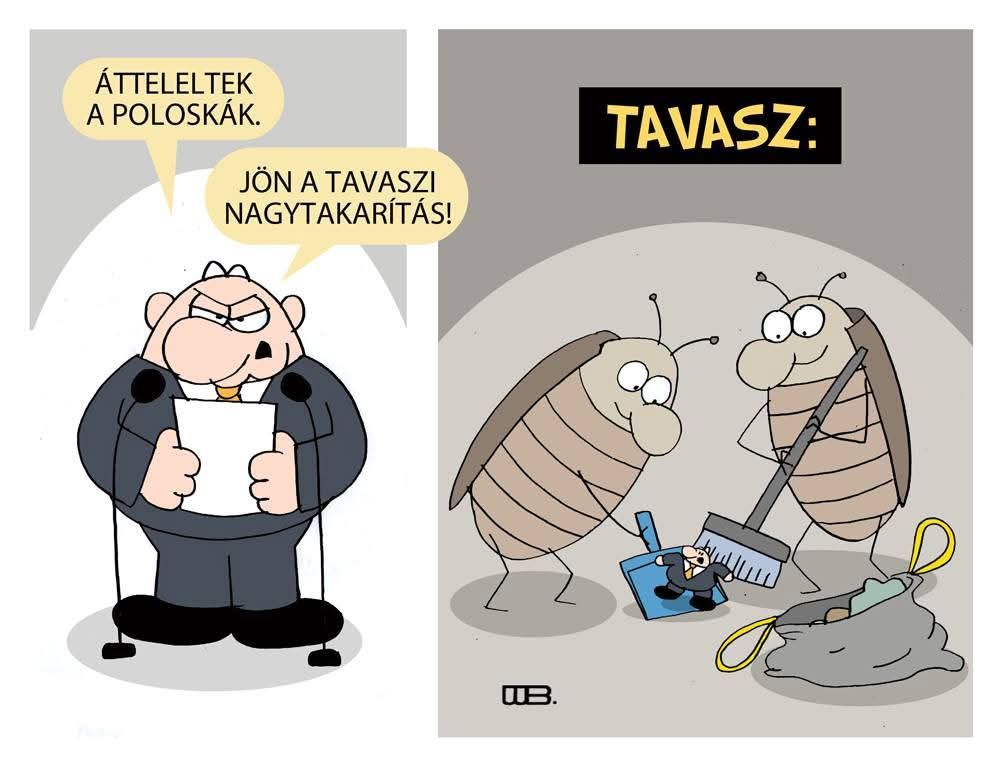 Gabor Hermann🇭🇺🇪🇺🇺🇦 tweet media