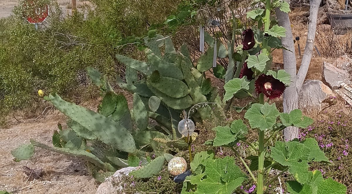 aladreth tweet media