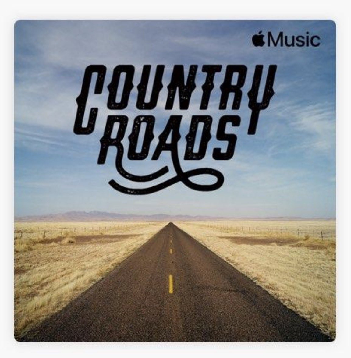 BallparkDad tweet media