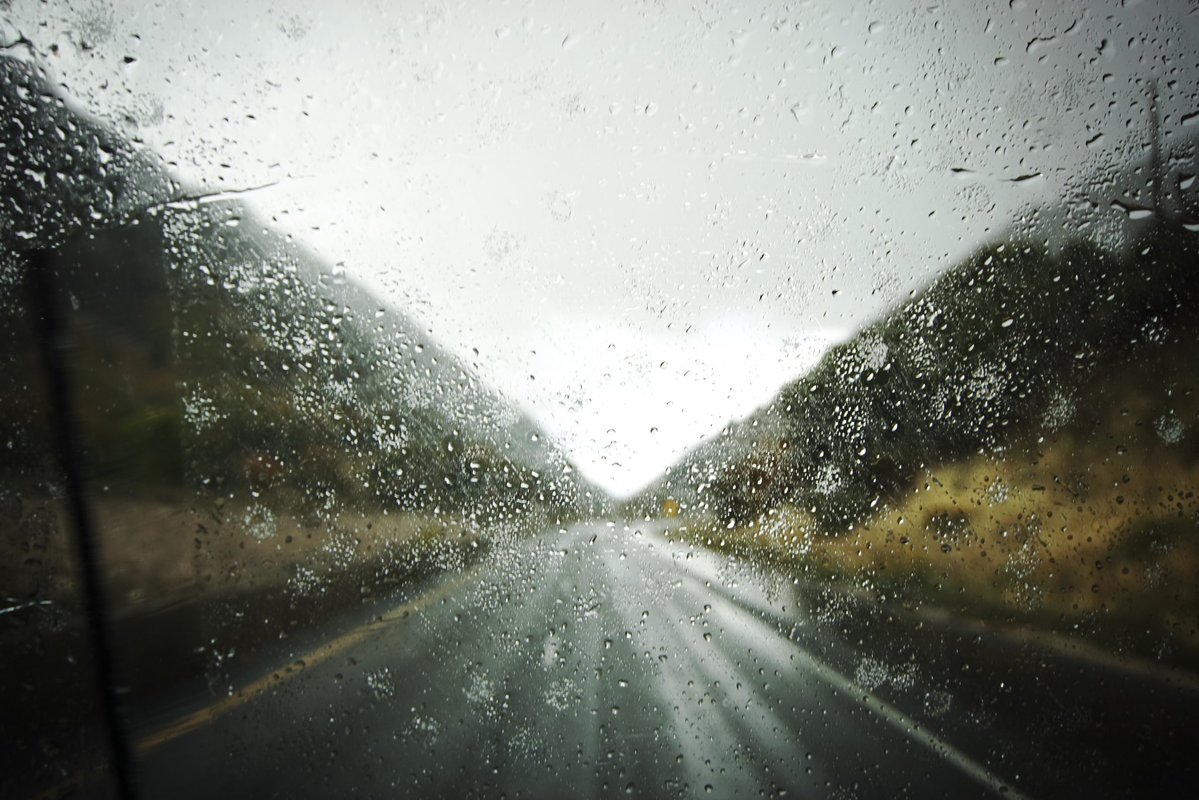 Average Homeboy BGXII. 🤙 tweet media