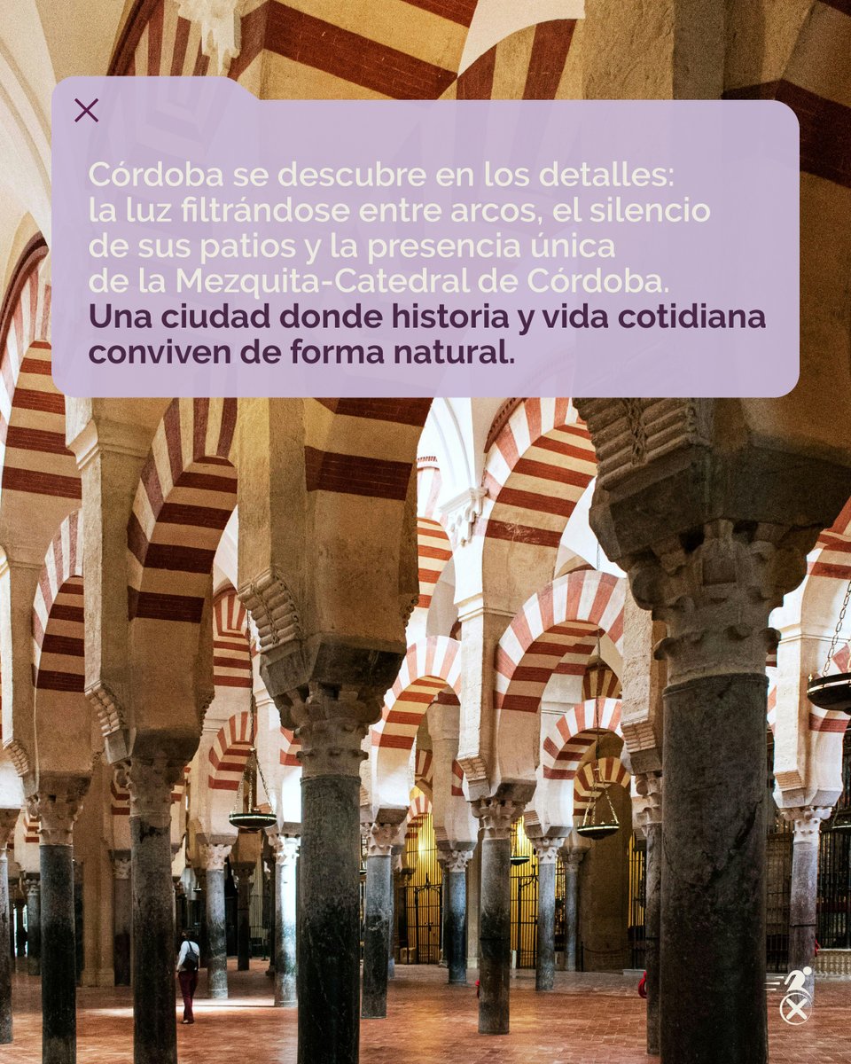Travel-Xperience tweet media
