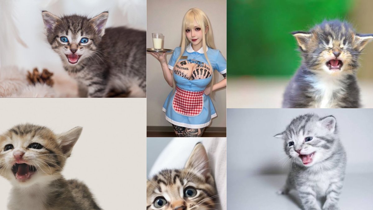 meru🖤♠️ tweet media