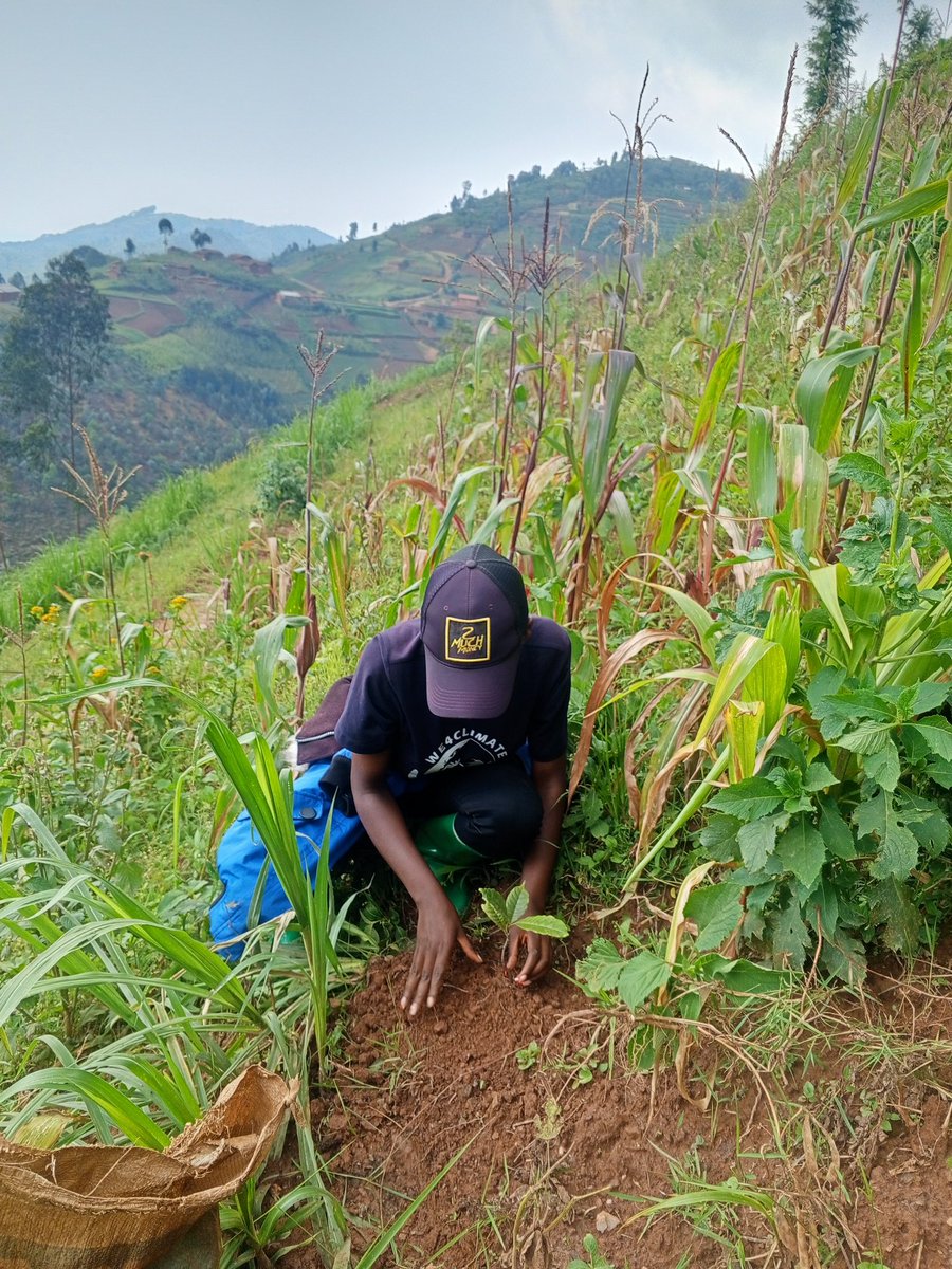 dusengimana florence tweet media