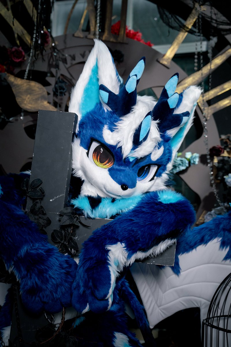 爻光星-ALKAID tweet media