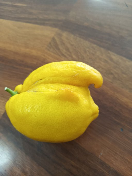 side profiles for drawing reference tweet media