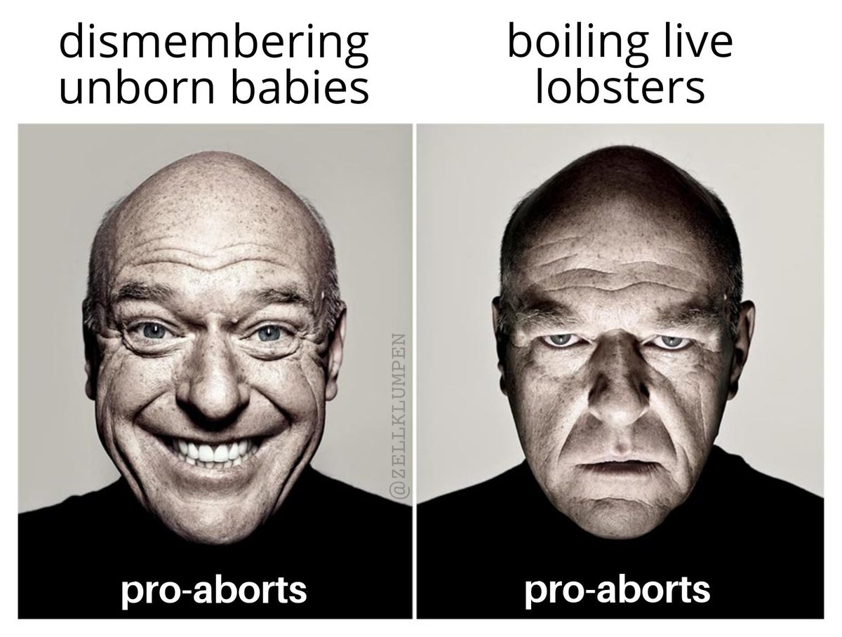 𝚌𝚕𝚞𝚖𝚙 𝚘𝚏 𝚌𝚎𝚕𝚕𝚜 tweet media