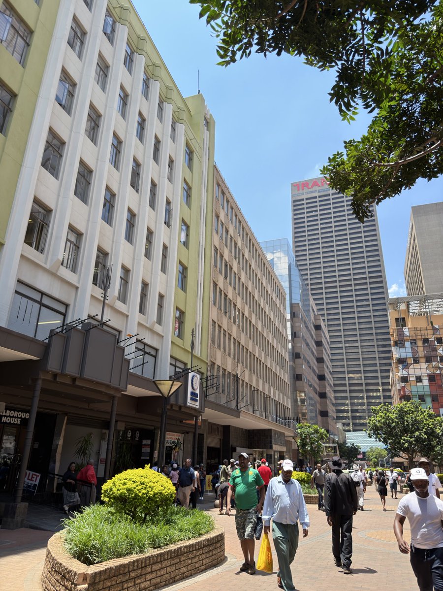 Zille for Mayor tweet media