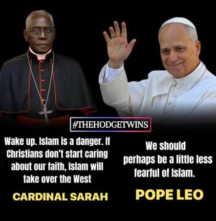 <a href="/OfAthenry/">👣ℙ𝕖𝕕𝕣𝕠'𝕤 𝕄𝕦𝕤𝕥𝕒𝕔𝕙𝕖🇺🇲</a> He is a hack inserting himself into US politics at an unprecedented level. Visited and honored Muslims who killed and tortured Catholics in a country where proselytizing is illegal. Said we shouldn’t be afraid of Islam, responsible 93% of Christian killings. Cut off all federal $