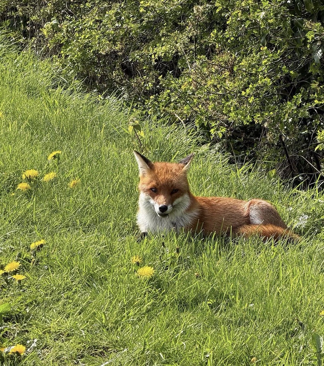 Matthew Stadlen tweet media