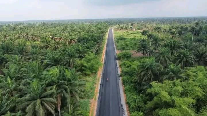 Lilian Ogechi tweet media