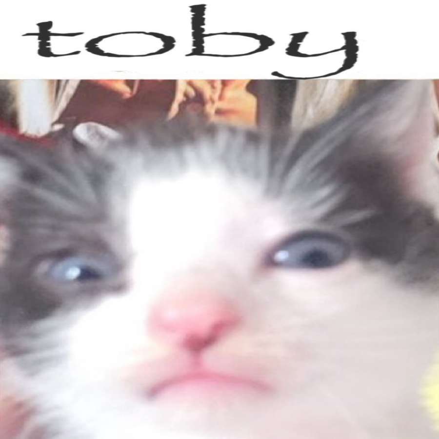 marr_released's tweet image. He used to be such an ugly little freak. now he is ugly big freak