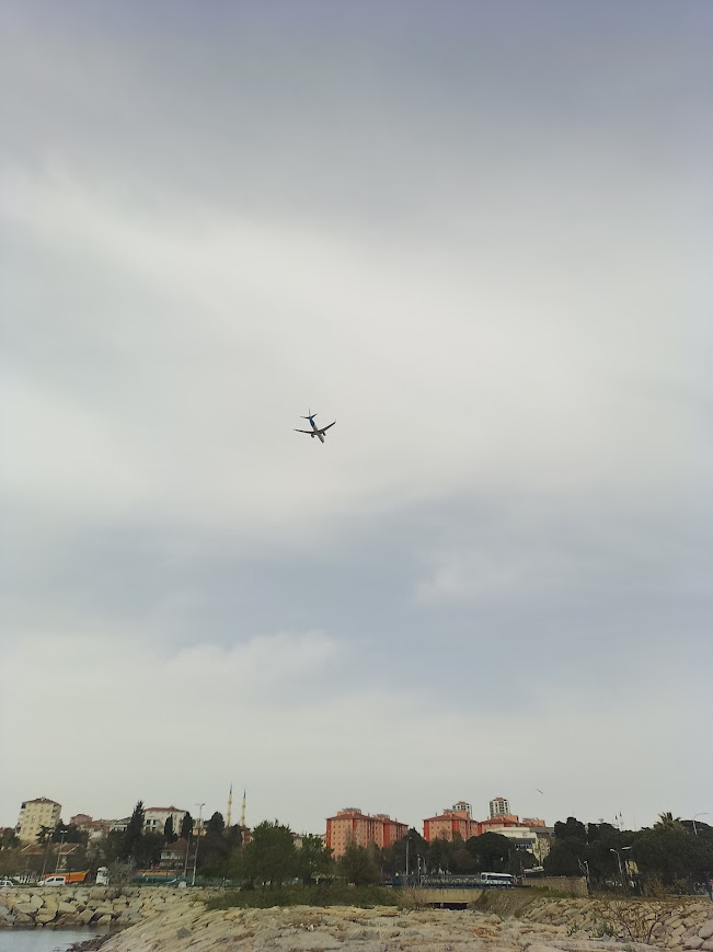 Pinat TC-JBM tweet media