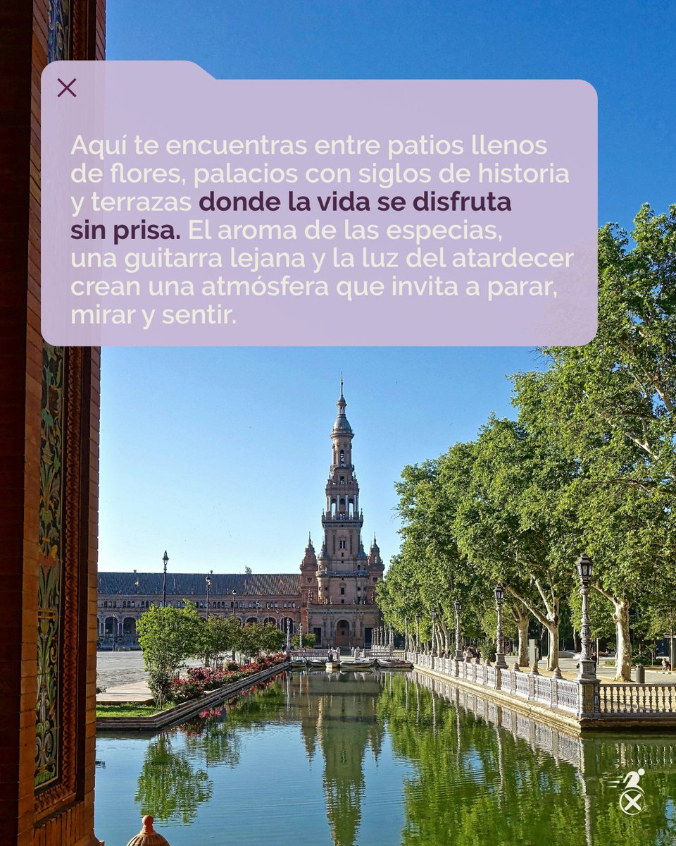 Travel-Xperience tweet media