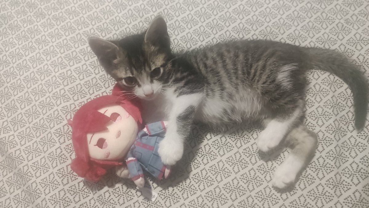 mexican Teto tweet media