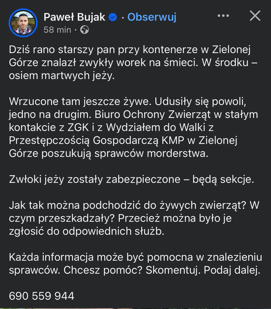 Ka SzaLew 📚 tweet media