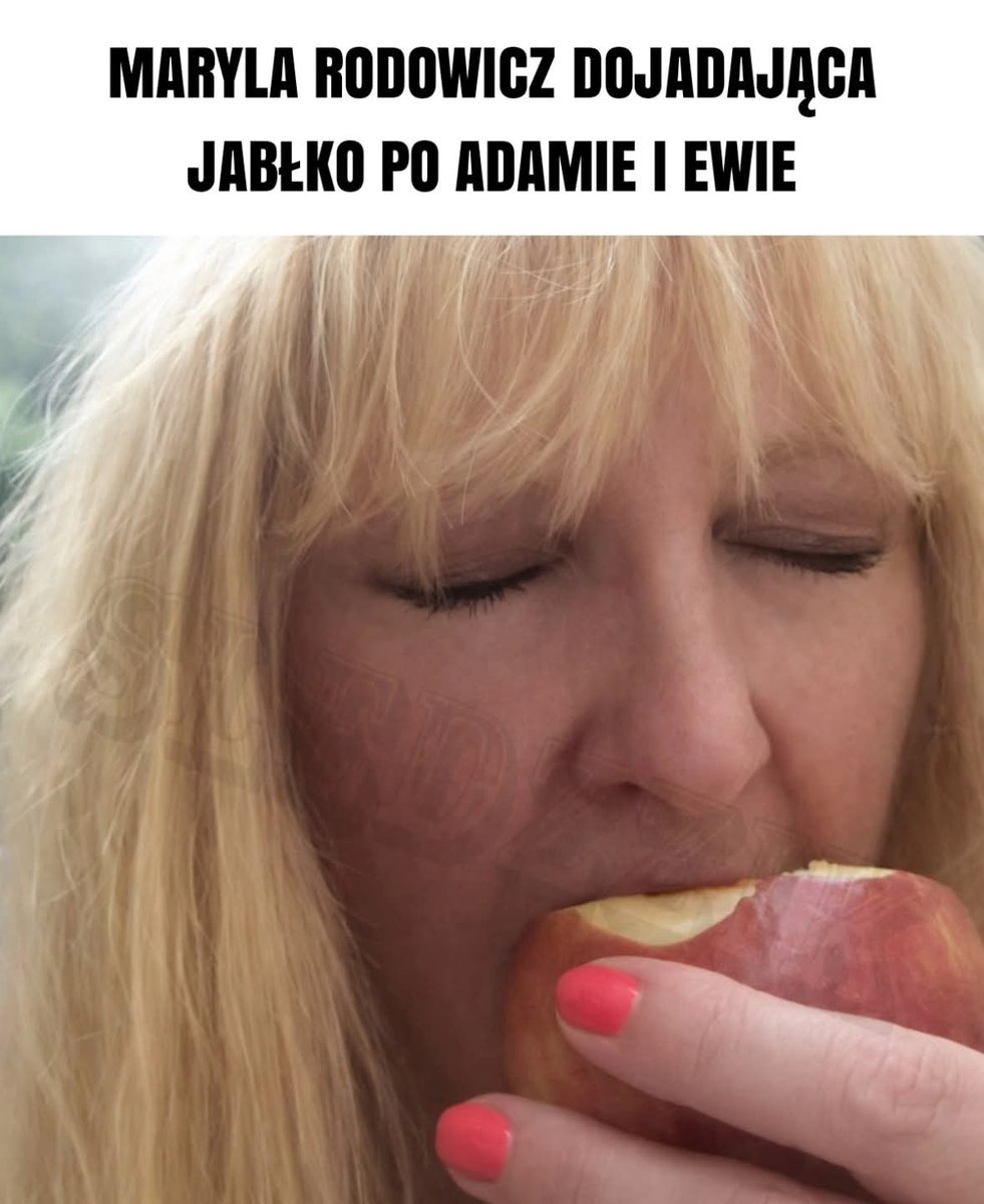AdoriVt's tweet photo. Śmiechłem XD https://t.co/zO31sIL4o7