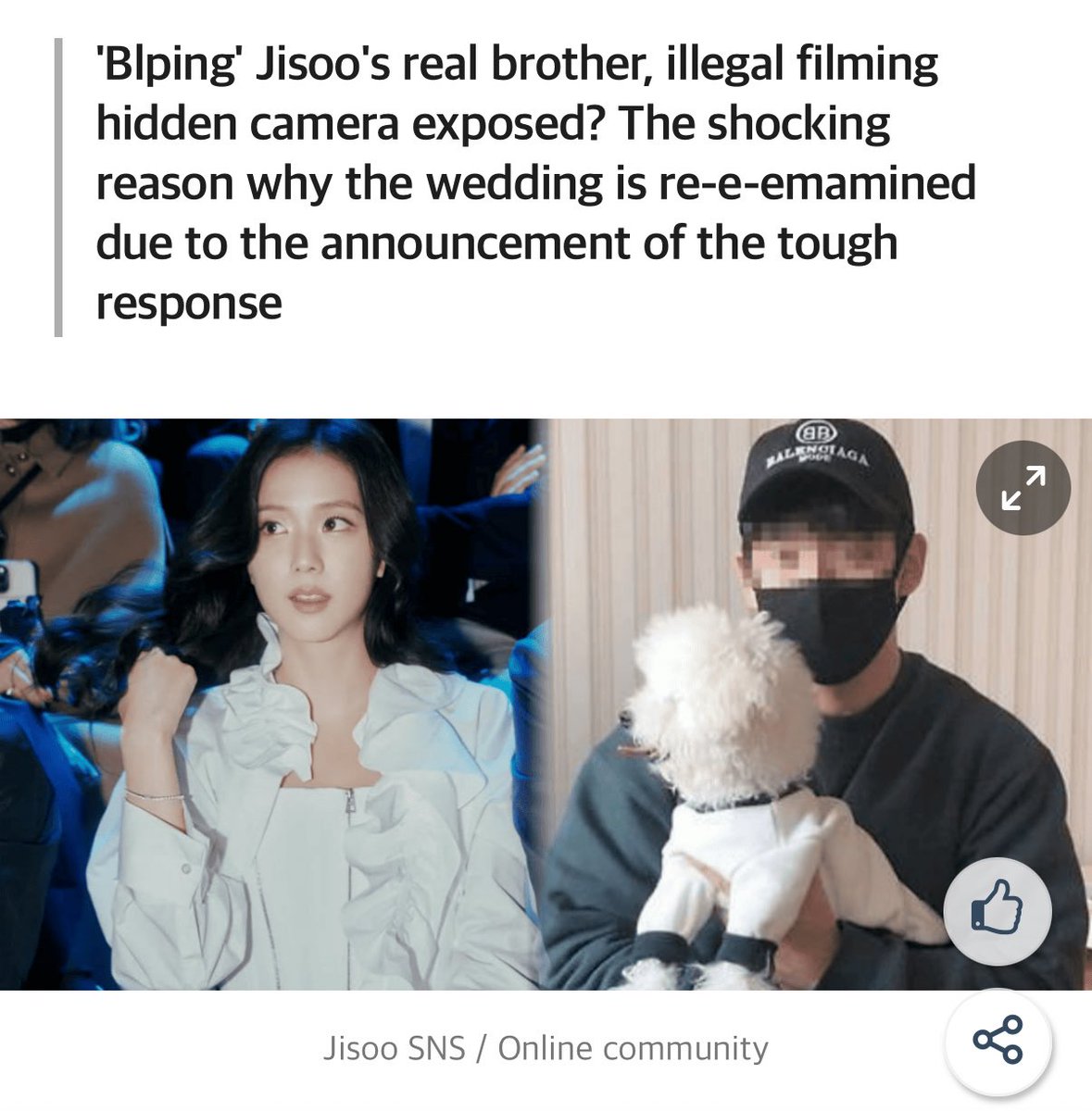 🐶 tweet media