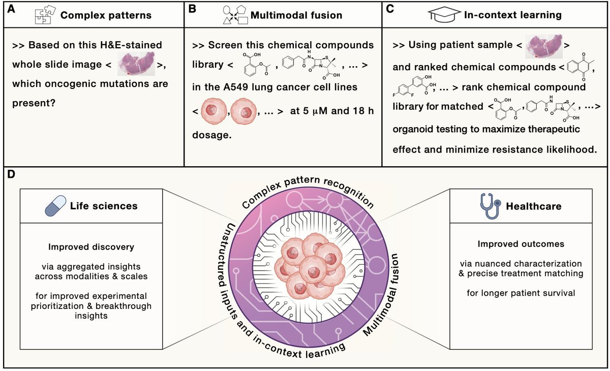 Ava Amini tweet media