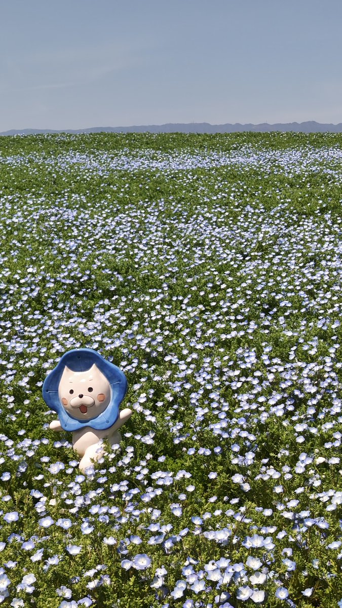 せいぎ=パンダ tweet media