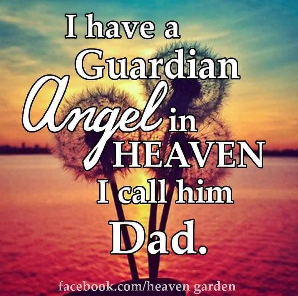 Joyce 🦋✨️ tweet media