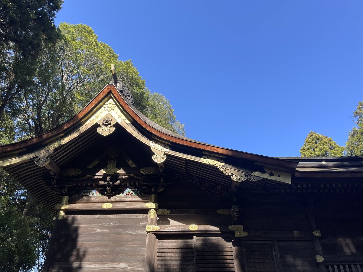 yoshi_zaurus_'s tweet photo. こ���まえ https://t.co/XX0ch9IuJE