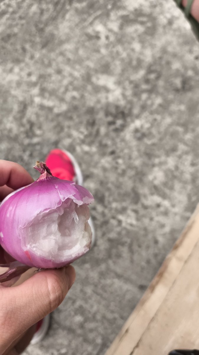 POME⛩️AIYA⛩️ tweet media