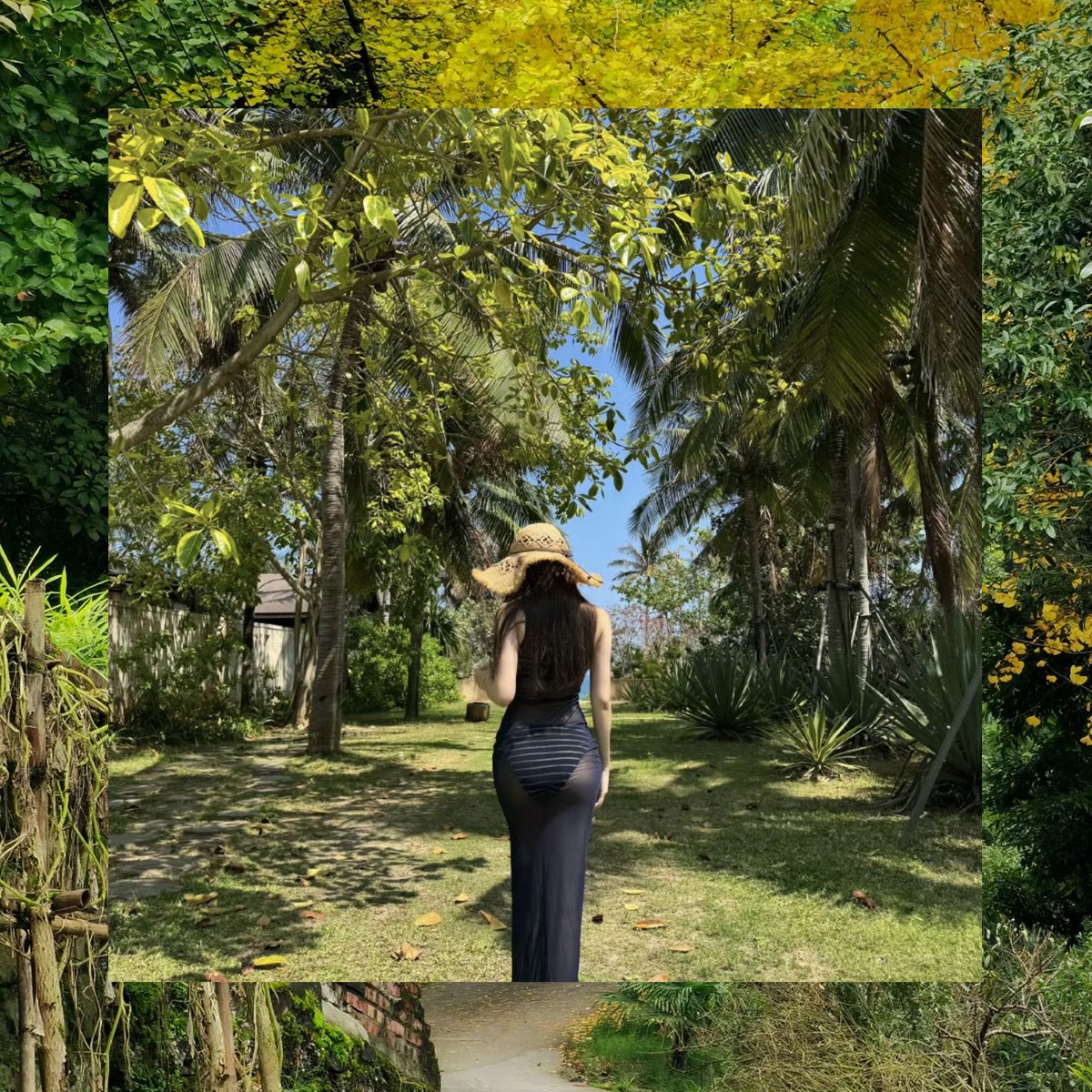 Brian Fields tweet media