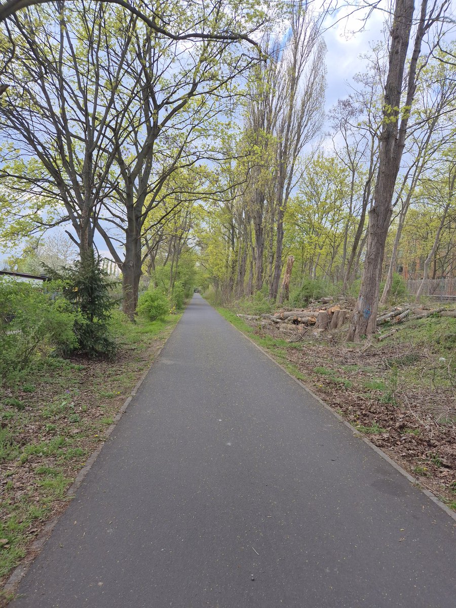 crispyroots's tweet image. Nach einem halben Jahr keinen Sport und ein paar Kilos mehr auf den Rippen, muss ich mal langsam wieder mit Sport anfangen. Hoffentlich hält mein Knie. 

#nevergiveup