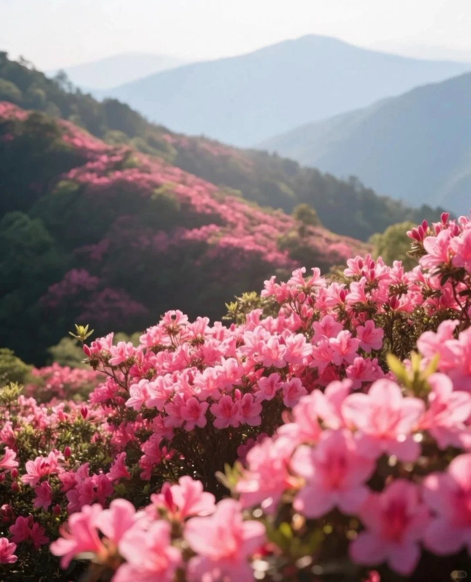 人生三境：知行合一，知难而进，知足常乐。
＃中国传统文化 ＃生活智慧