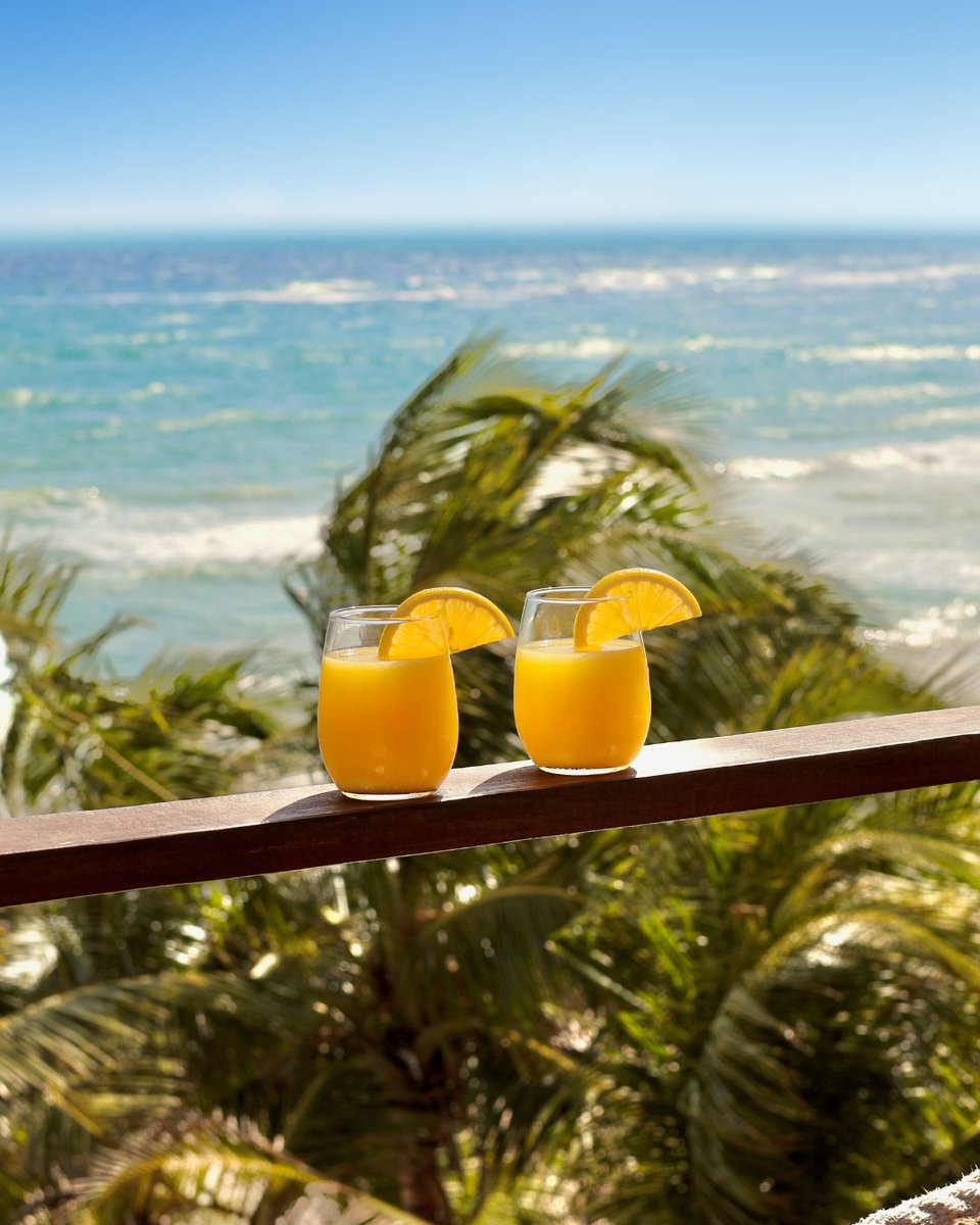 SecretsResorts's tweet photo. Crashing waves, fresh juice, and no reason to rush. 🌴 🤍 

Mornings at Casa Zamna, a part of #SecretsTulum. Begin your day together: https://t.co/bzUsPt9T35 https://t.co/y0DrXrKhy0