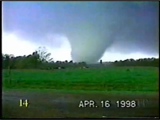 Mary Mays ⚡️ tweet media