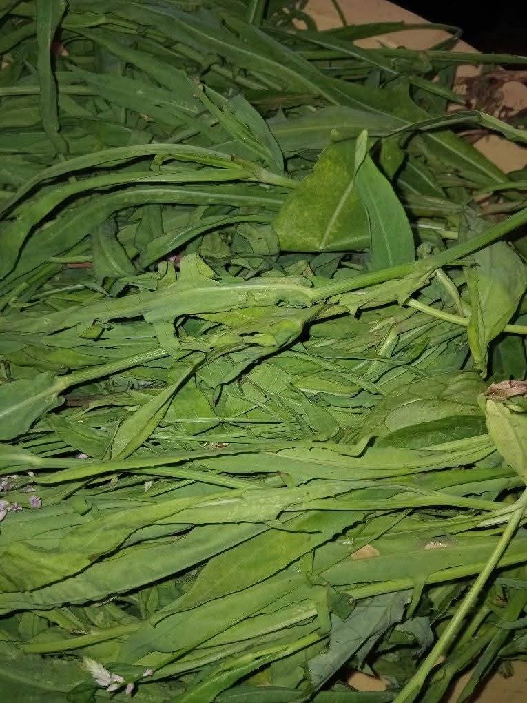 𝐑𝐞𝐚𝐥 𝐌𝐀𝐒𝐇 tweet media