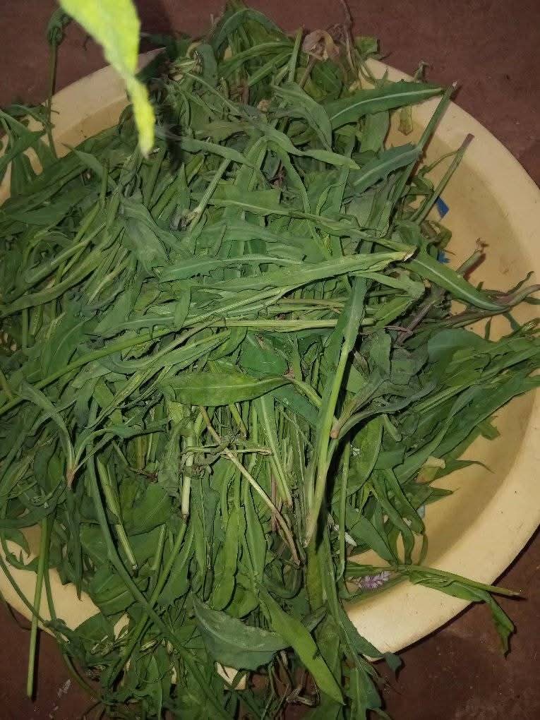 𝐑𝐞𝐚𝐥 𝐌𝐀𝐒𝐇 tweet media