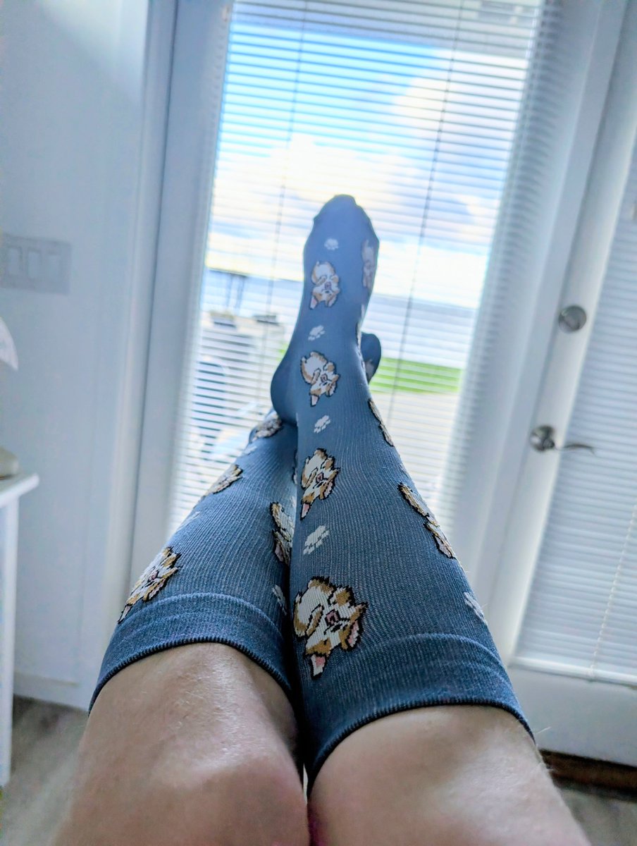 tabbykatcafe's tweet photo. Got corgis on my knee highs
Hope y'all are waking up with this kind of whimsy https://t.co/2ZpqYdcsfo