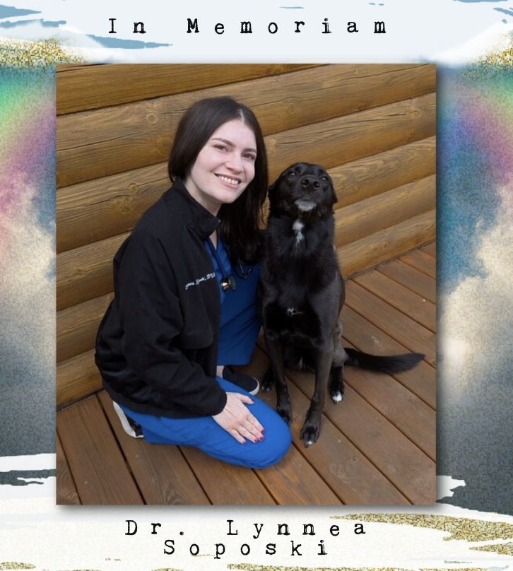 Mrgunsngear tweet media