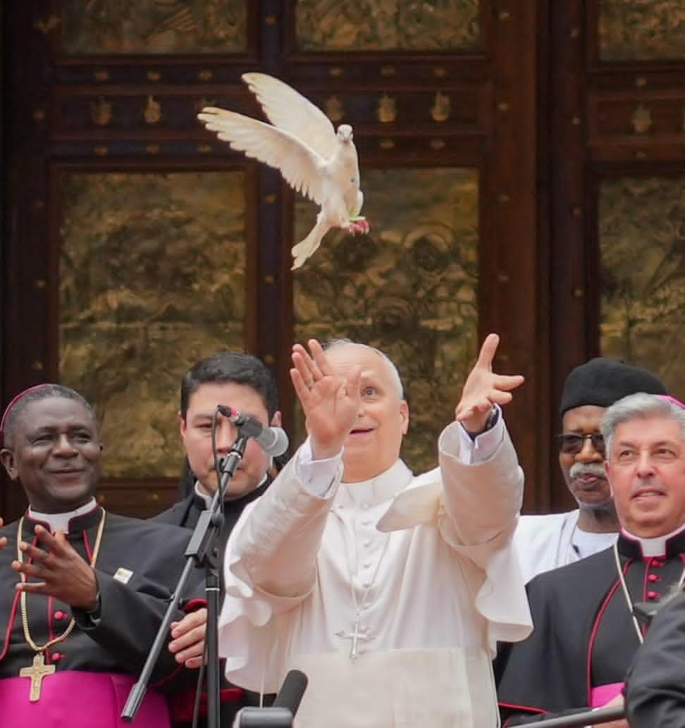 Le Pape relâche une colombe 🕊️, puissant symbole de paix et d’espérance pour le monde 🌍