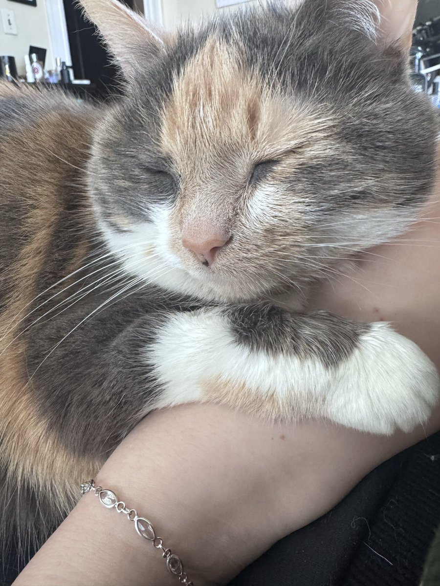 habitual line-stepper tweet media