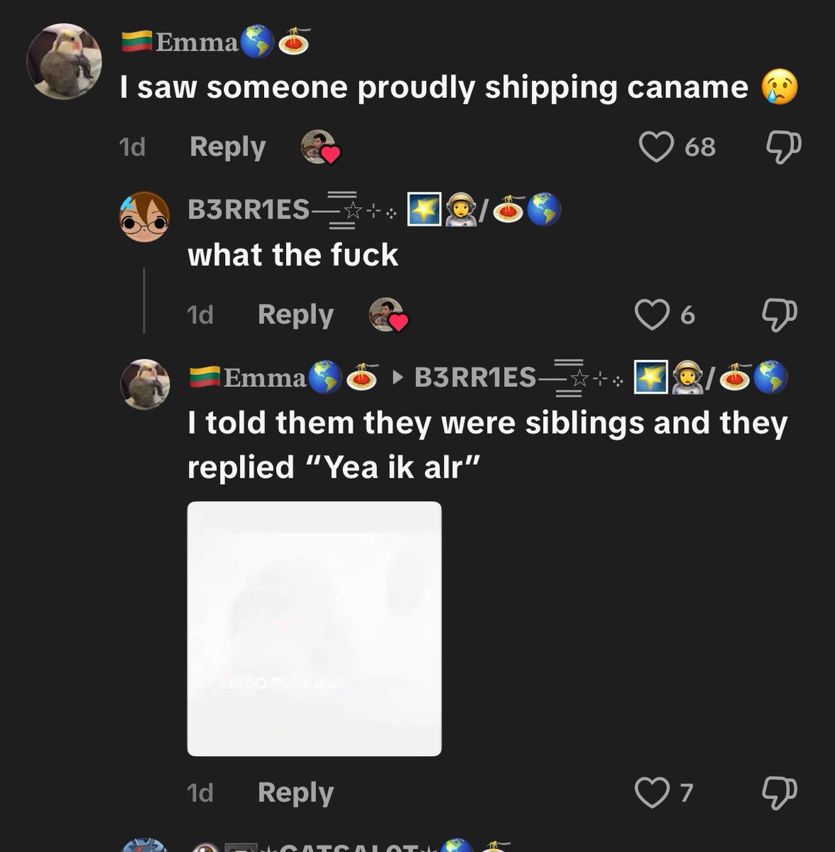 fen ᨳଓ tweet media