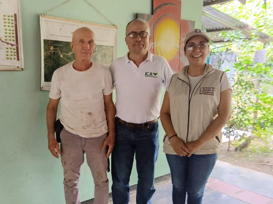 fedecacao's tweet photo. En Arauquita, seis predios cacaoteros alcanzan la certificación BPA con el acompañamiento de Fedecacao y auditoría del ICA. Detrás de este logro hay disciplina, aprendizaje y compromiso con un mejor cacao. 

✅Le apostamos a la productividad🤗 https://t.co/5IlhUtBKNI