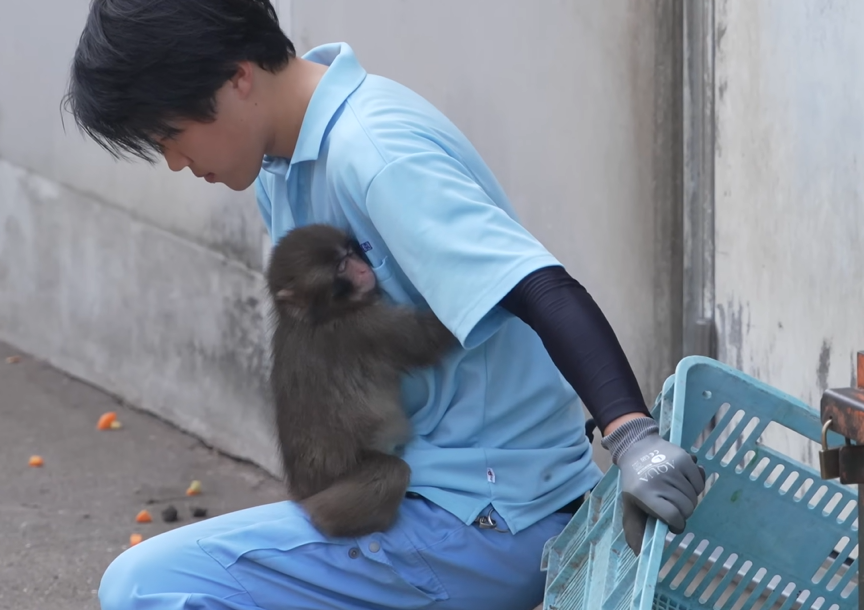 Krystal 수정 tweet media