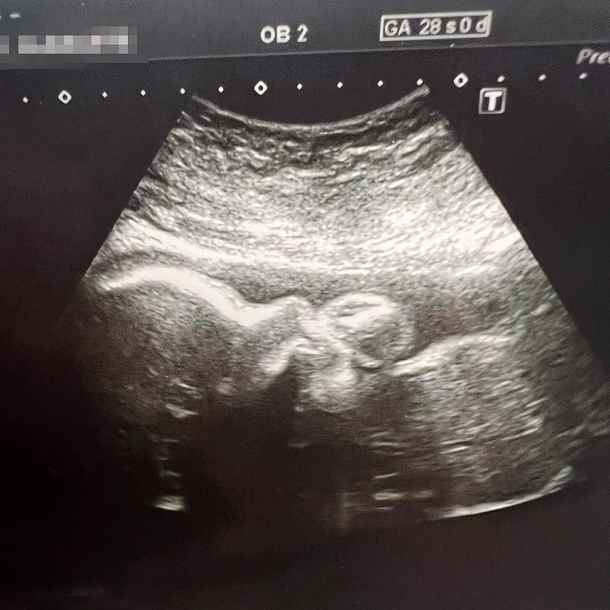 Julio Ruades tweet media