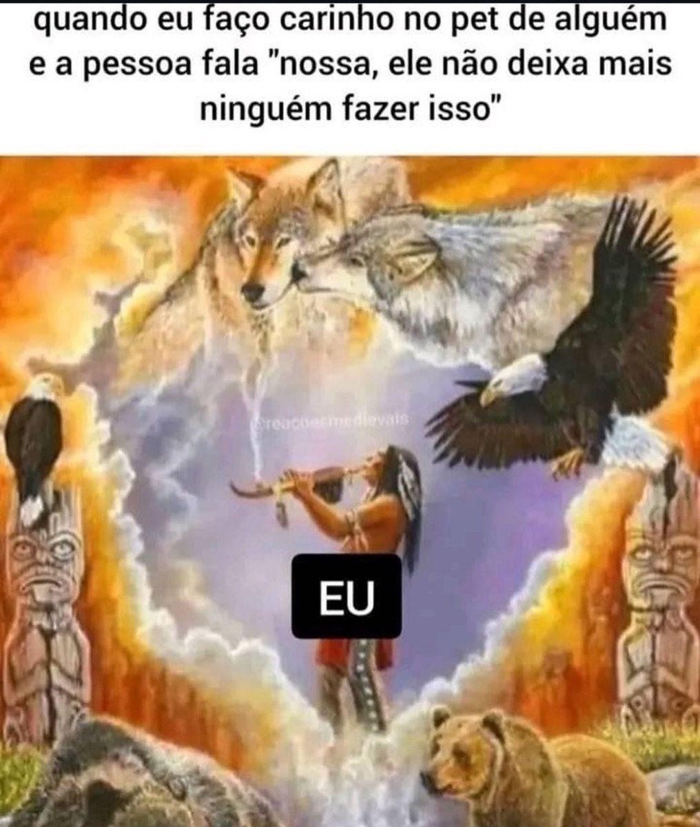🌟