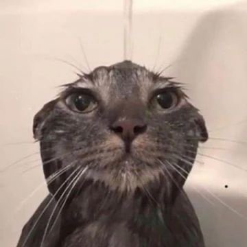 mer 🤍| tweet media