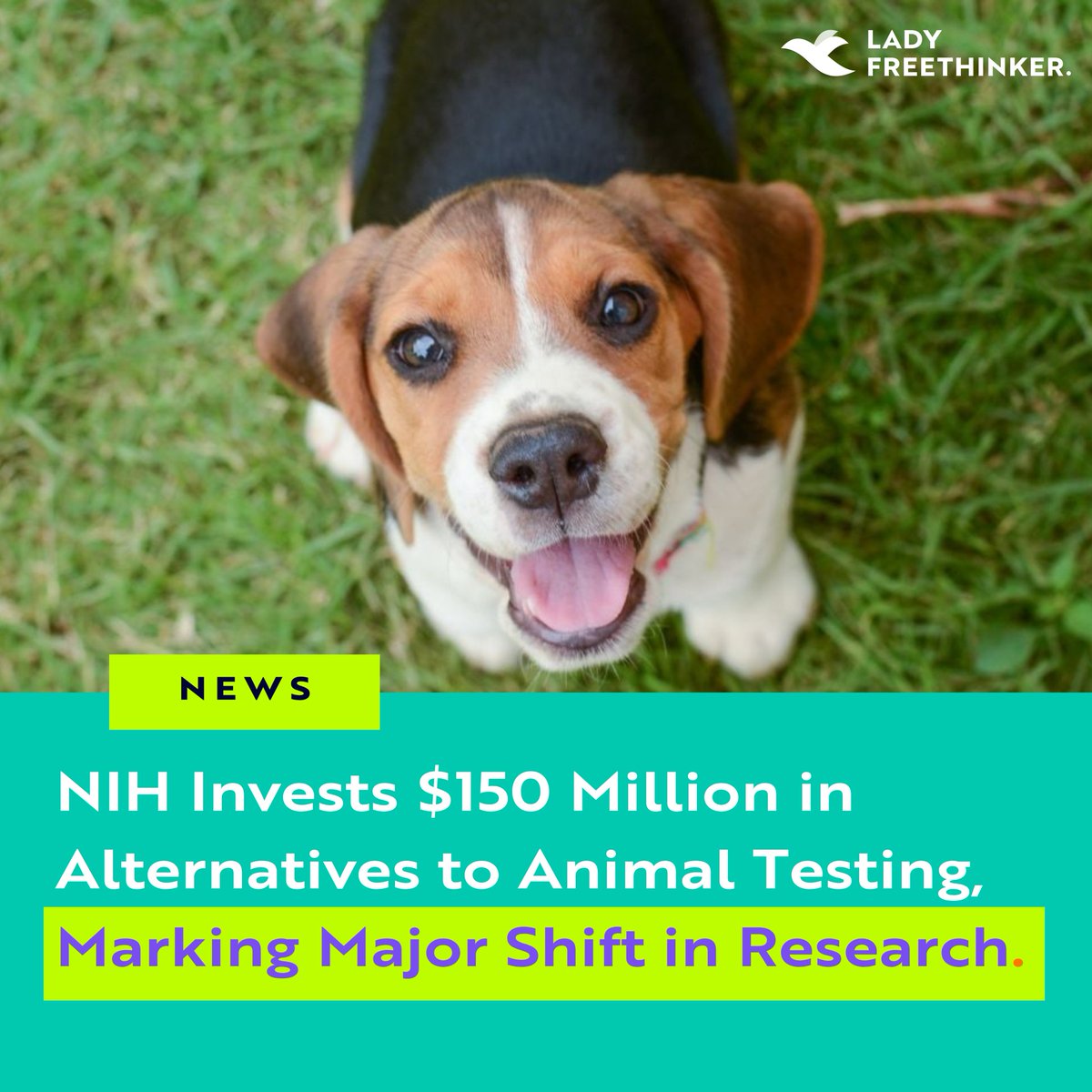 Lady Freethinker tweet media