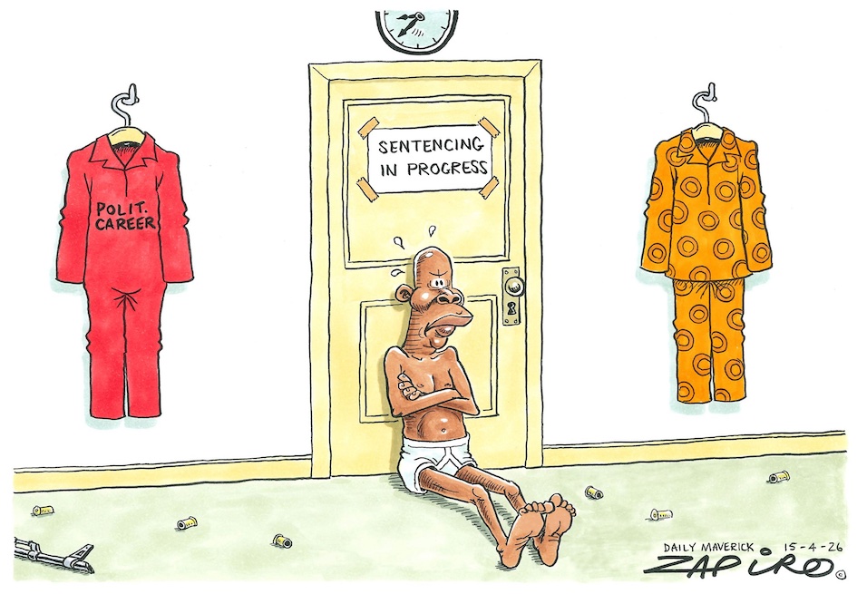 Zapiro tweet media