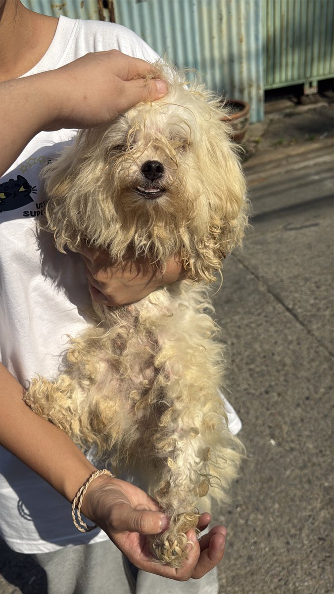 DNVP 💋 (Malonfamily) tweet media