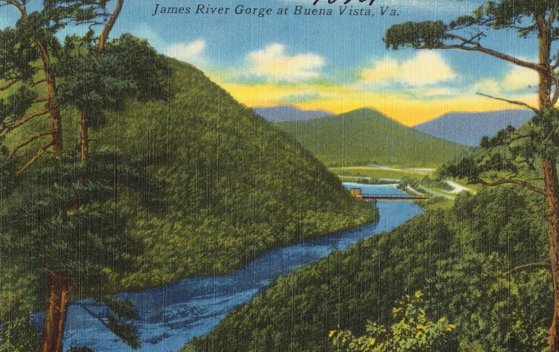 David Scott Harris tweet media