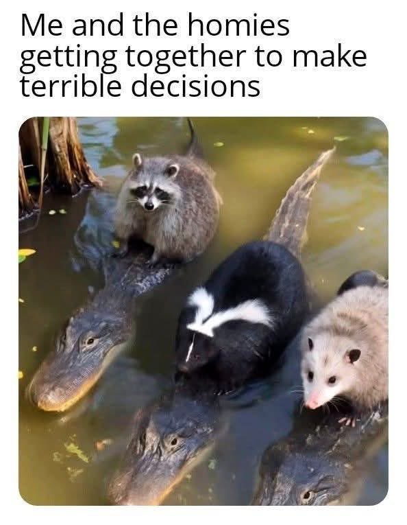 Dark Angel ⊝ New account ⛧ tweet media