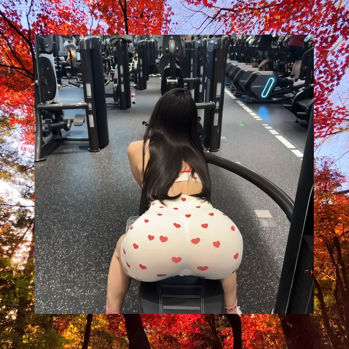 Sandy Adams tweet media